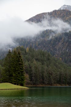 薄雾笼罩的针叶林与宁静的山湖倒影，构成了一处完美的自然秘境
