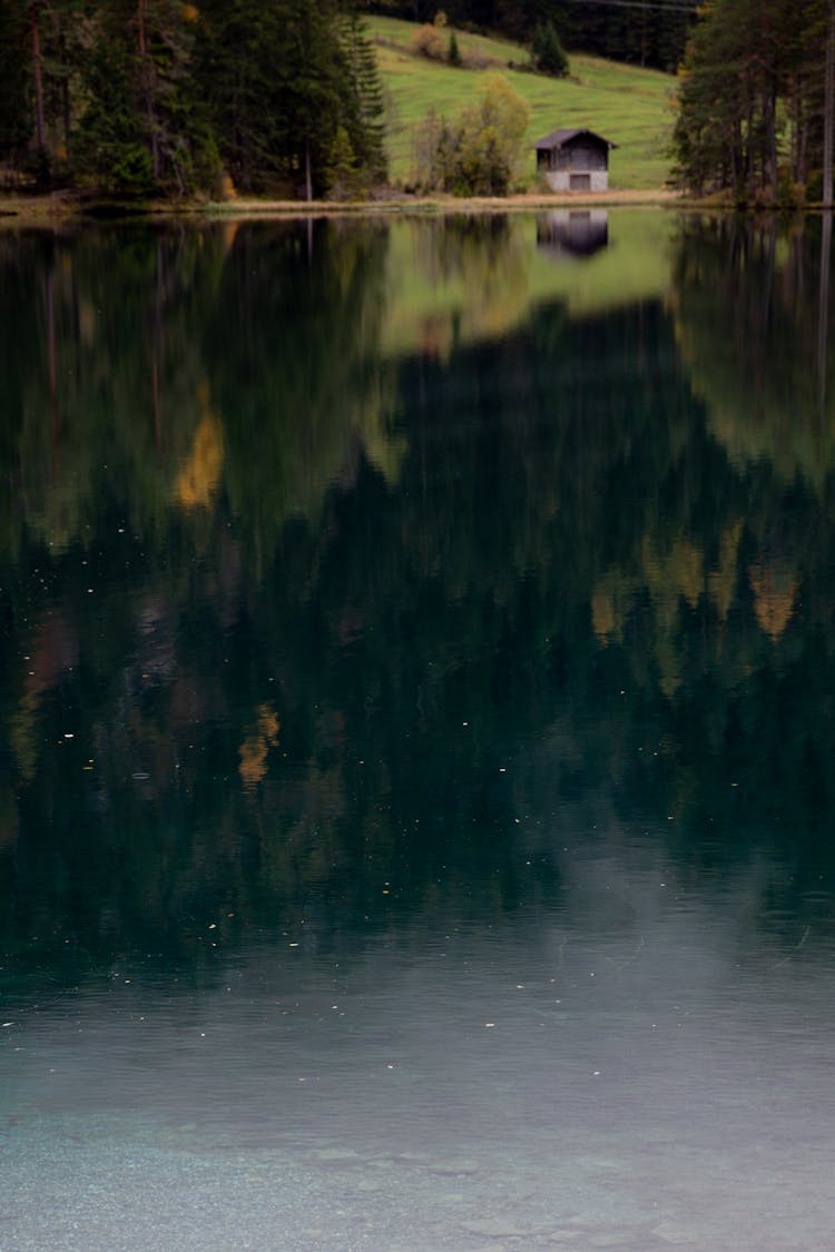 Tranquil Lake Reflecting House And Forest