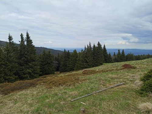 Free Peaceful mountain scene featuring lush green forests and expansive sky. Stock Photo