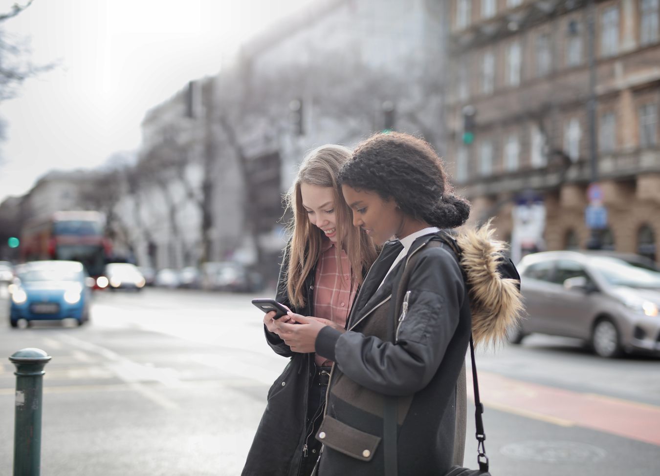 Boost Local Visibility