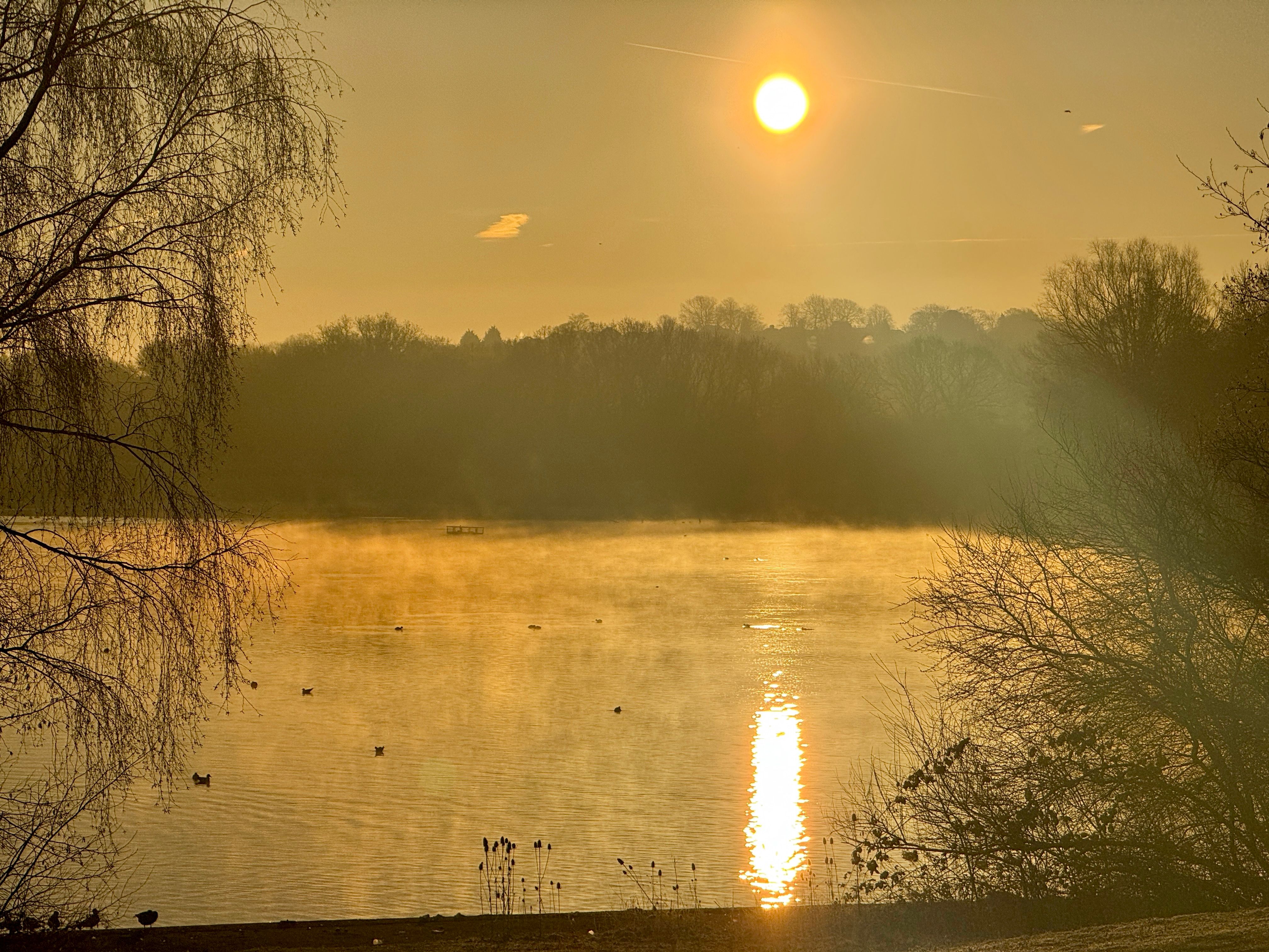 Birmingham park evening