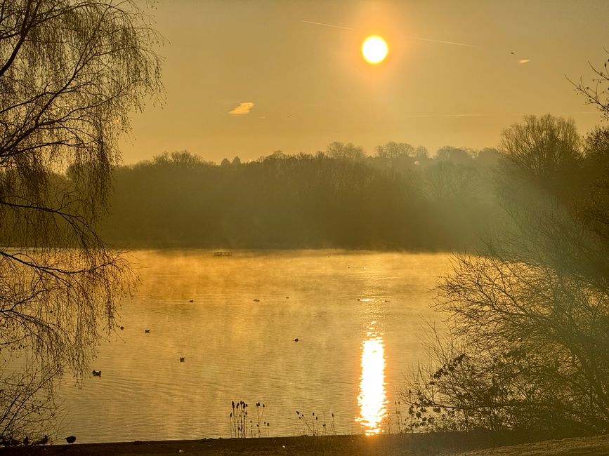 Birmingham park evening