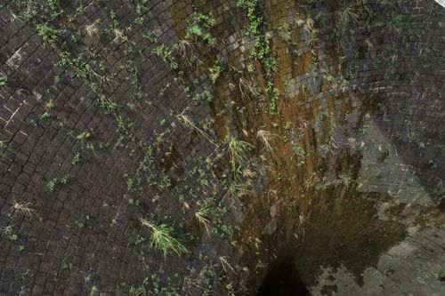 Free An aerial view of an old stone well covered with green moss and foliage. Stock Photo