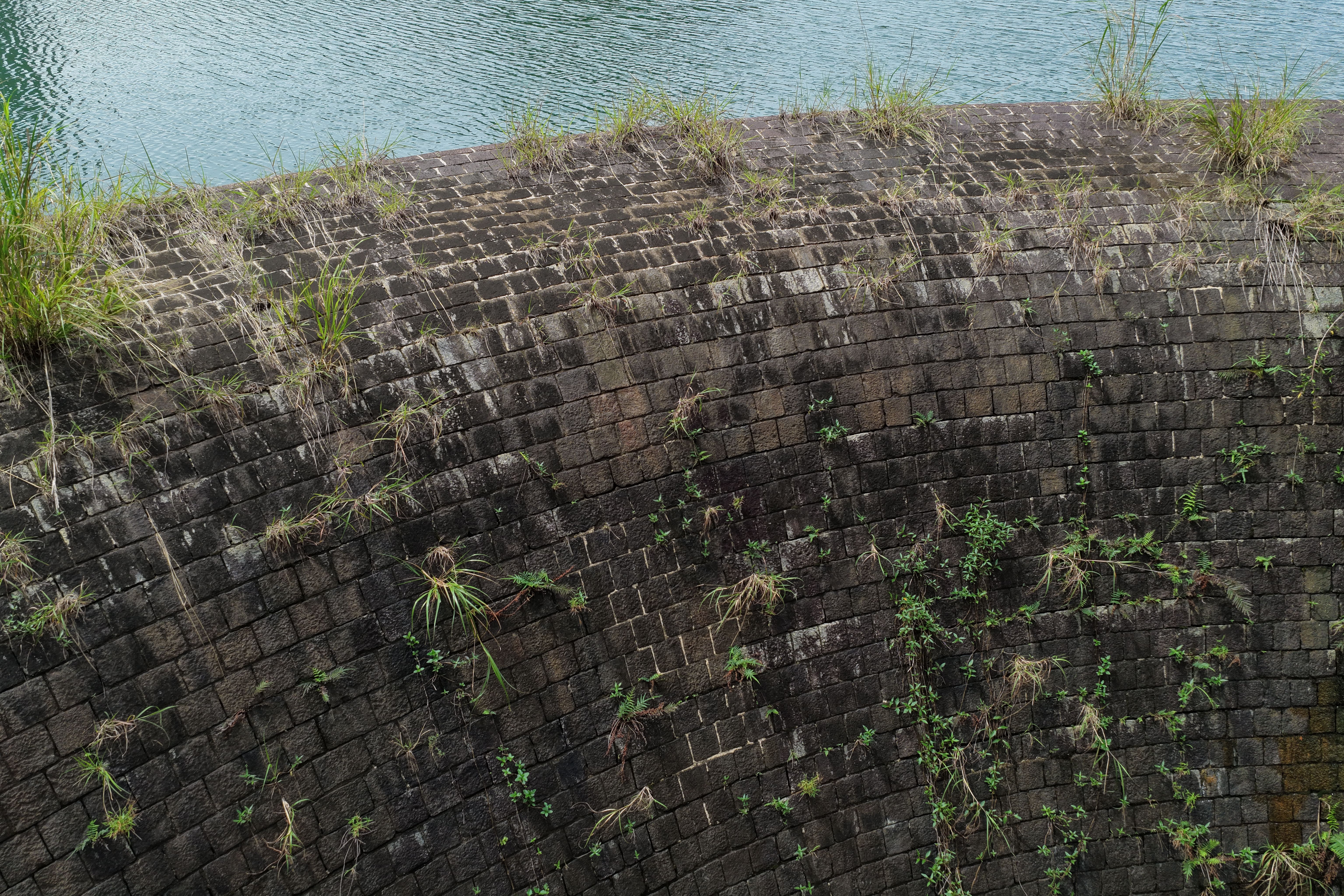 Aerial view of a curved stone retaining wall with growing plants, adjacent to a serene water body.
