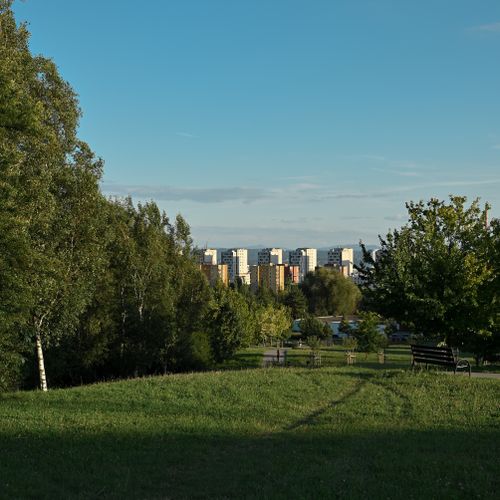 Free A picturesque view of Kraków cityscape framed by lush greenery and clear blue sky. Stock Photo