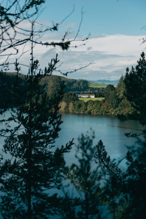 Free Explore the peaceful beauty of New Zealand's lush forest and tranquil lake. Stock Photo