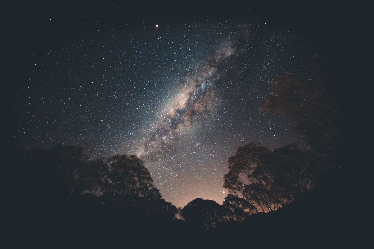 stunning view of the milky way galaxy over silhouetted trees in a tran