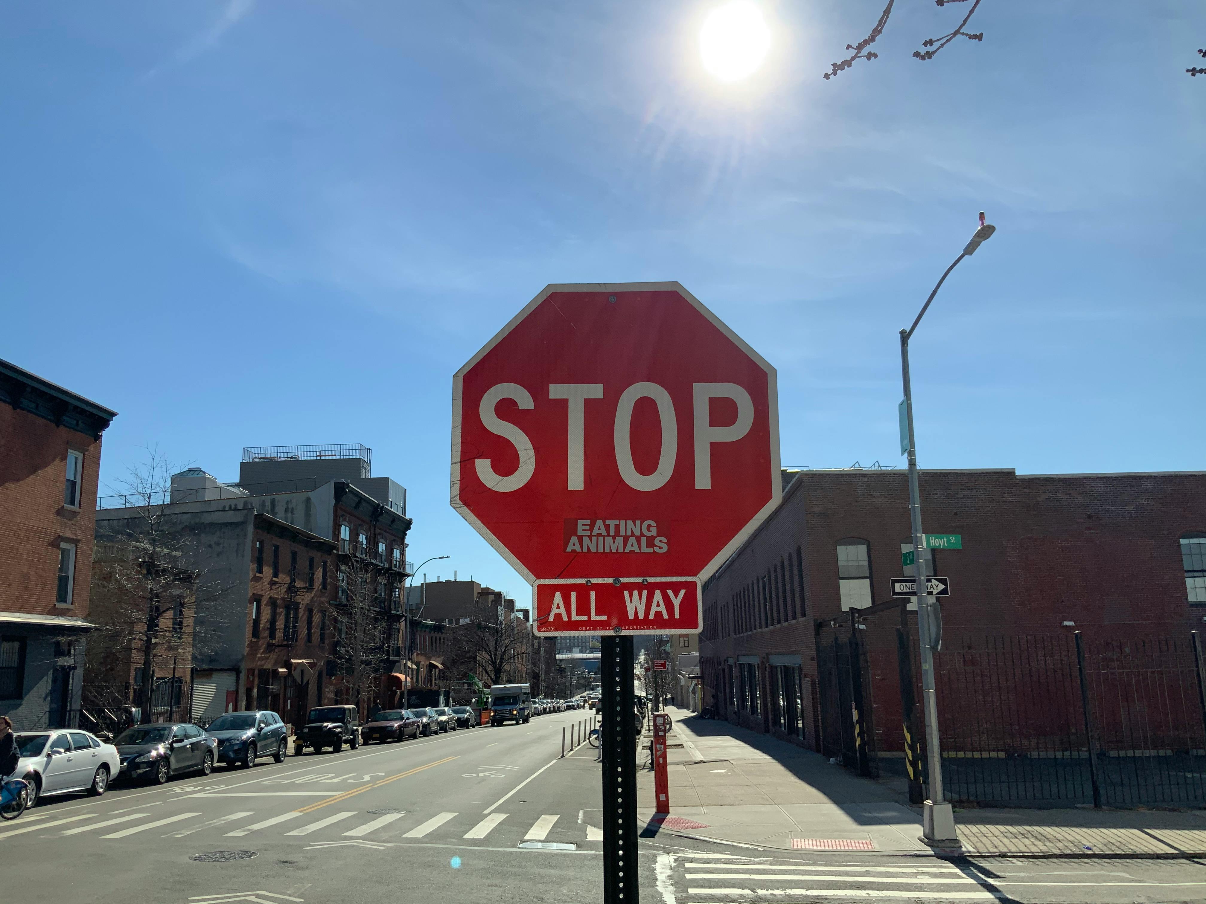 Vídeos de stock gratuitos sobre biblioteca, biblioteca central