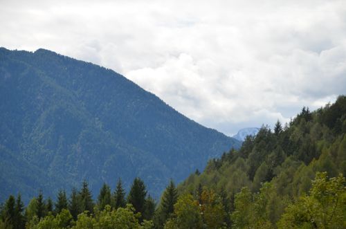 Free Serene mountain landscape with lush evergreen trees under a cloudy sky. Stock Photo