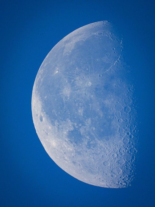 Free Close-up of a half moon against a clear blue sky, showcasing lunar details. Stock Photo