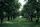 orchard
