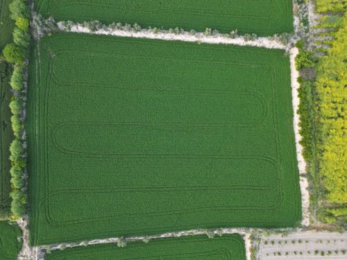 Free Aerial shot of vibrant green agricultural fields in Denizli, Türkiye, showcasing modern farming patterns. Stock Photo