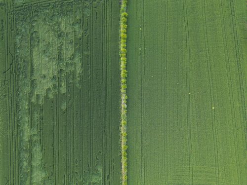 Free Aerial view of lush green fields in Denizli, Türkiye, capturing rural serenity and agricultural beauty. Stock Photo