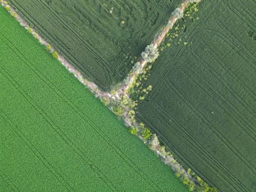 Free Aerial shot of lush green farmland fields in Denizli, displaying the natural beauty of Turkish agriculture. Stock Photo