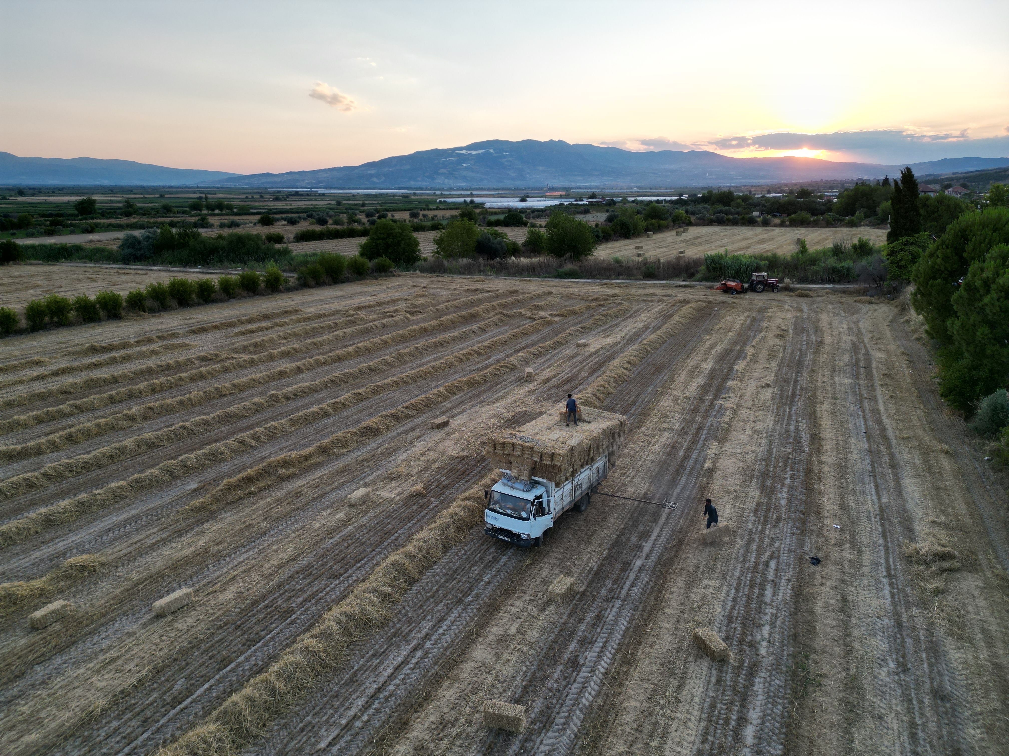 Why insurance is the missing link in financing food systems transformation — Photo by Mahmut Yılmaz on Pexels