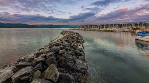 Gray Rocks on  the Shore