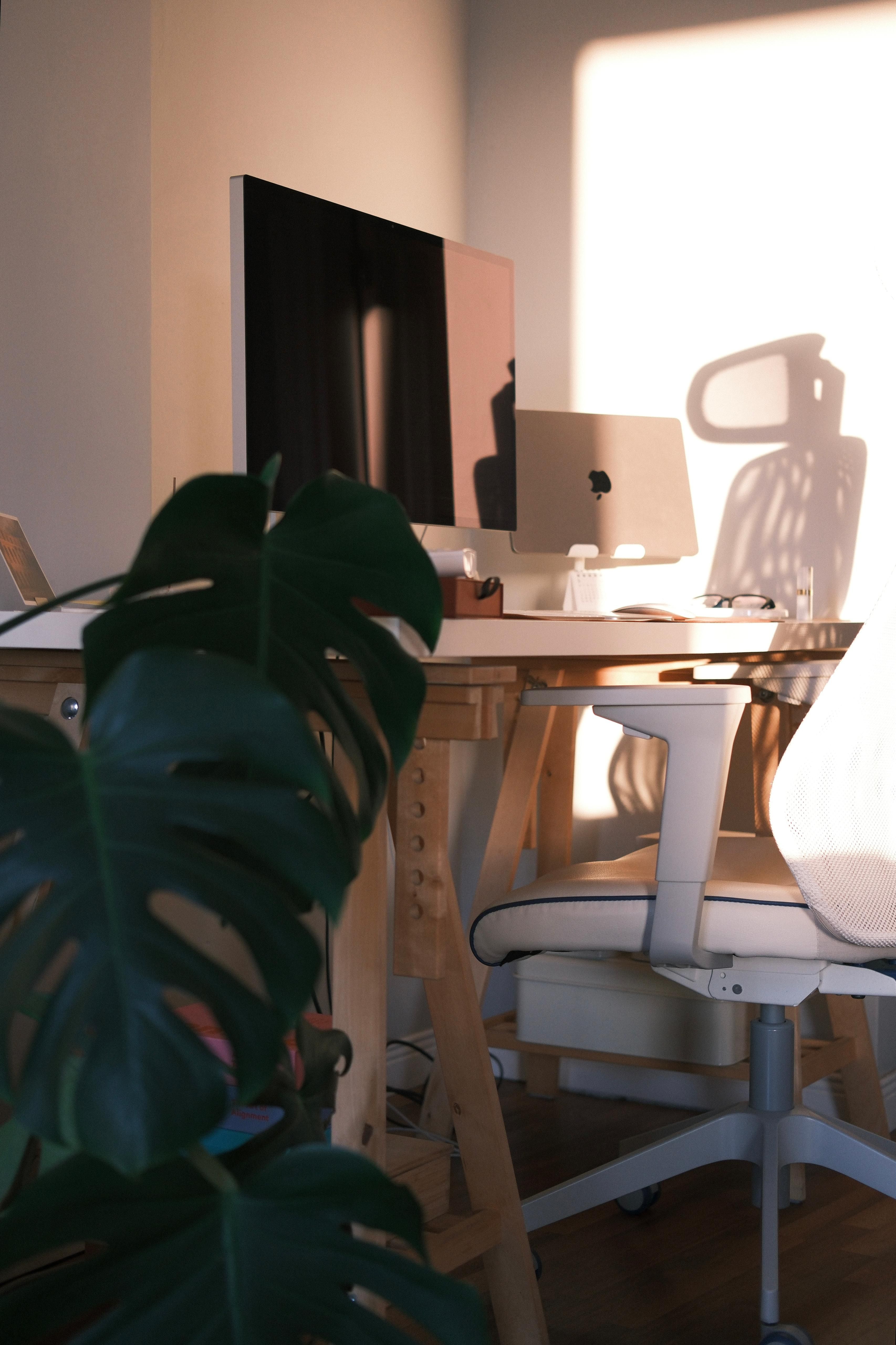 Stylish home office with desk, computer, chair, and plant in warm evening light.