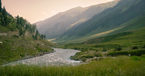 Free Explore a tranquil mountain valley with lush greenery and a flowing river under a soft sky. Stock Photo