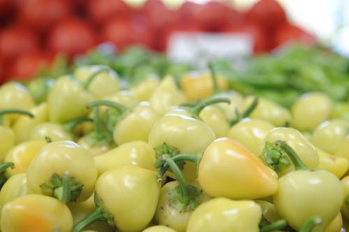Free stock photo of agriculture, baby white peppers, farmers market