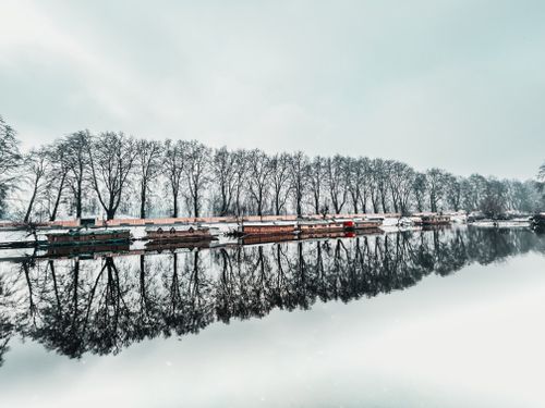 Free Stunning winter view of houseboats and tree reflections on Dal Lake, Srinagar. Stock Photo