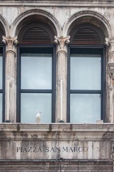 Seagull perched on historic architecture at Piazza San Marco in Venice, Italy.