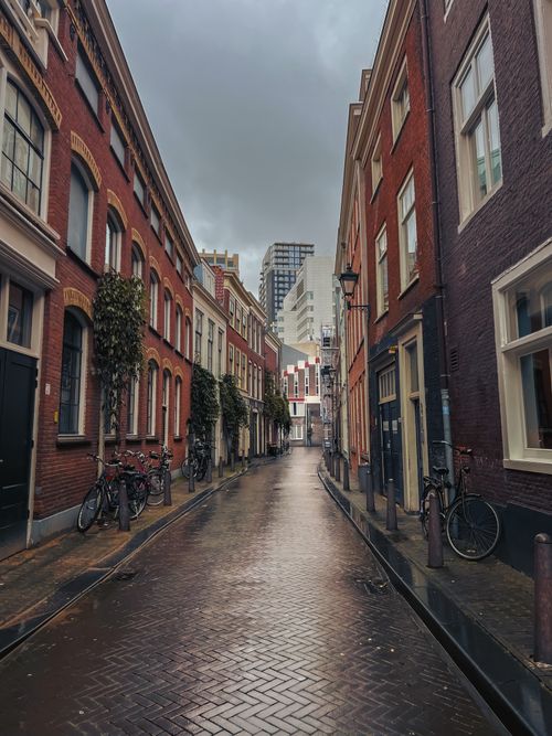 Free Cobblestone street in The Hague with classic Dutch architecture and bicycles on a cloudy day. Stock Photo