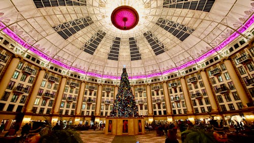 Christmas tree in large modern hall