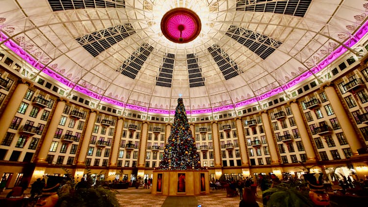 Christmas Tree In Large Modern Hall