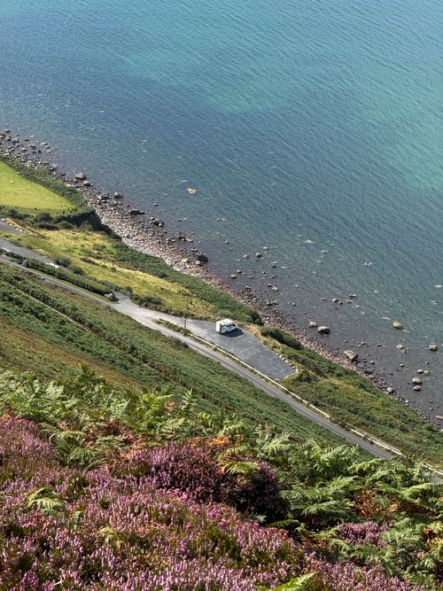 Free Aerial view of coastal road and ocean with blooming heather and vibrant greenery. Stock Photo
