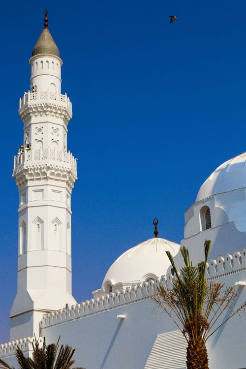 Free Elegant white mosque with intricate minarets and a blue sky, palm trees in foreground. Stock Photo