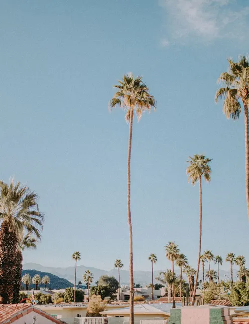 When Desert Dreams Meet Reality: The Ultimate Guide to the Best Time to Visit Palm Springs