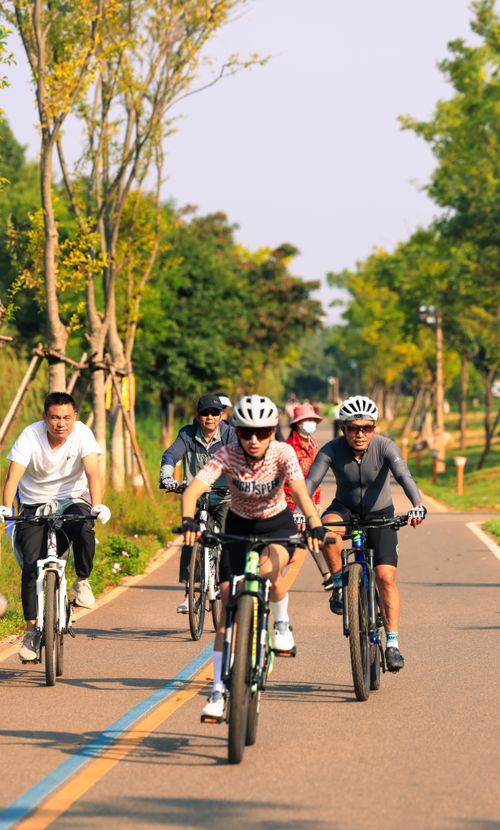 Free Five cyclists riding on a tree-lined path, embracing outdoor fitness and leisure. Ideal for lifestyle and health themes. Stock Photo