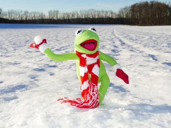 kermit-frog-snow-ball-throw-39358.jpeg?auto=compress&cs=tinysrgb&h=650&w=650