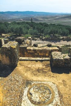Explore the ancient Roman ruins surrounded by olive groves and distant mountains.