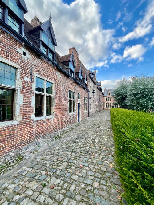 Free Historic cobblestone street with brick buildings and lush greenery in Leuven, Belgium. Stock Photo