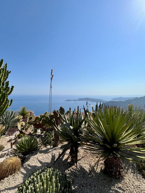 Free Stunning Mediterranean sea view from Èze with cactus garden foreground. Stock Photo