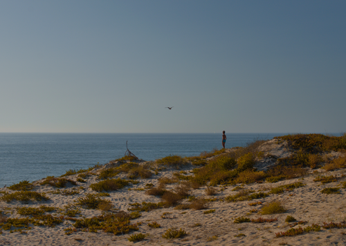 Free A lone figure enjoys the serene coastal view from sandy dunes in Ovar, Portugal at sunset. Stock Photo