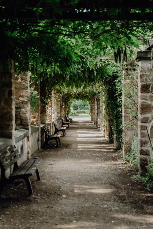 Free Tranquil stone pathway lined with benches and lush greenery under a leaf-covered archway. Stock Photo