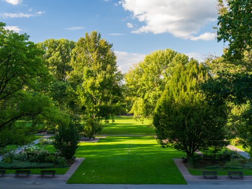 Free Tranquil city park with lush greenery and open grass fields under a clear blue sky. Stock Photo