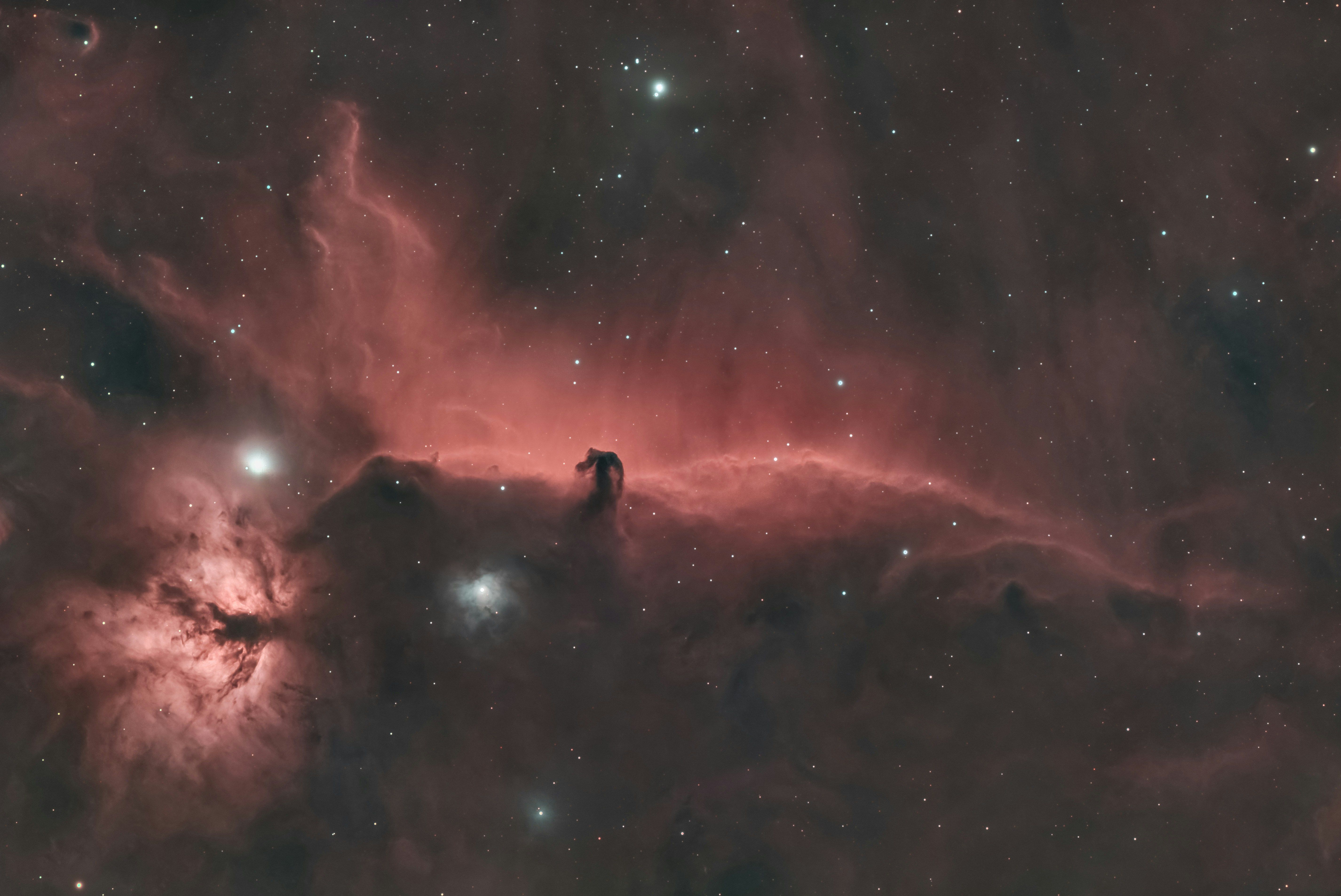 Spectacular image of the Horsehead Nebula (Barnard 33) against a starry background in Orion.