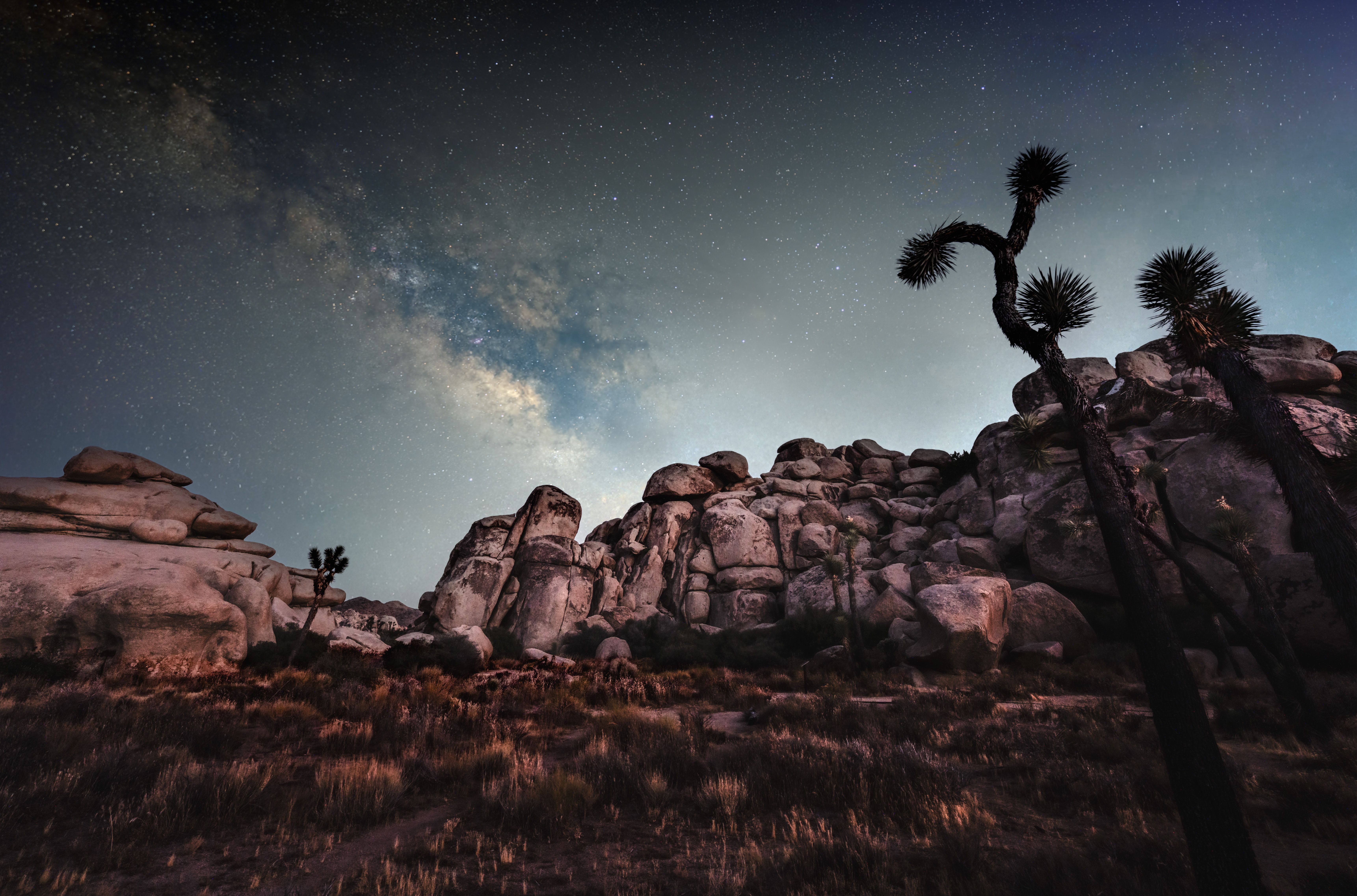 Twentynine Palms — Twentynine Palms
