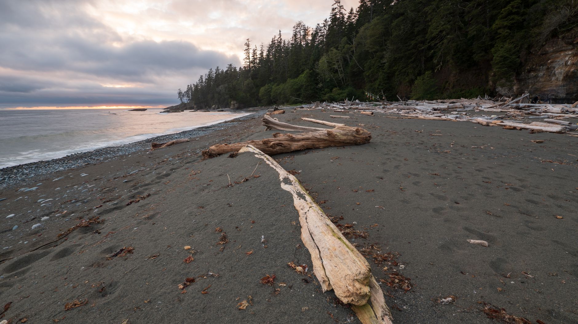 A peaceful beach landscape with driftwood and ocean at sunset on Vancouver Island, BC, Canada.