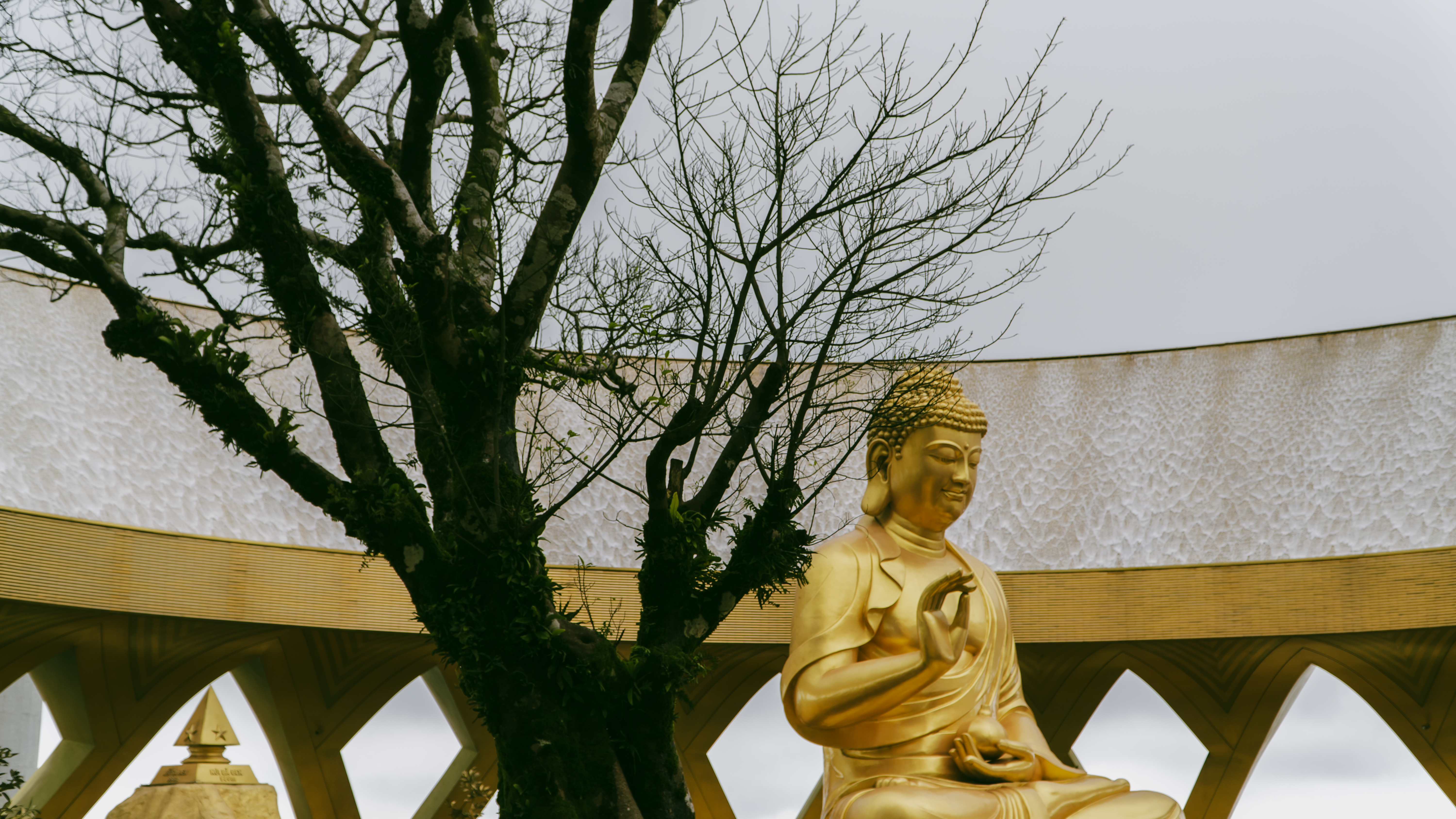Serene golden Buddha statue with trees and symmetrical architecture. Peaceful and spiritual ambiance.