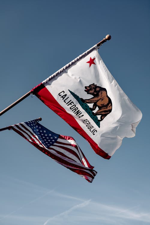 免費 加利福尼亞州旗, 加州, 國旗壁紙 的 免費圖庫相片 圖庫相片