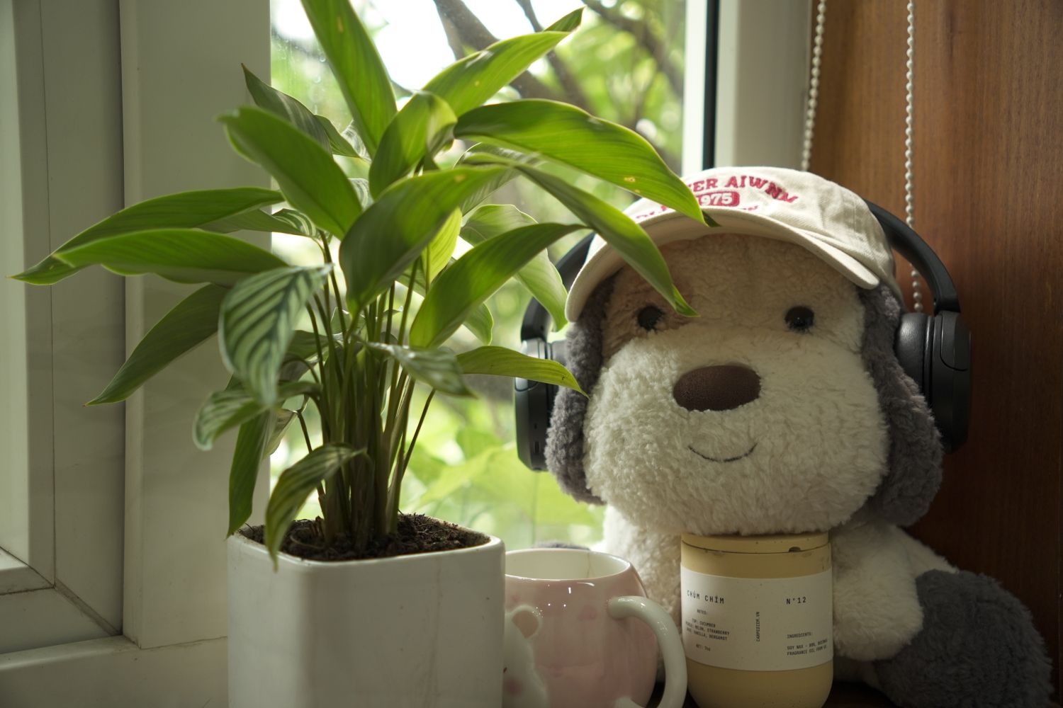Casual Indoor Scene Photos, Download The BEST Free Casual Indoor Scene ...