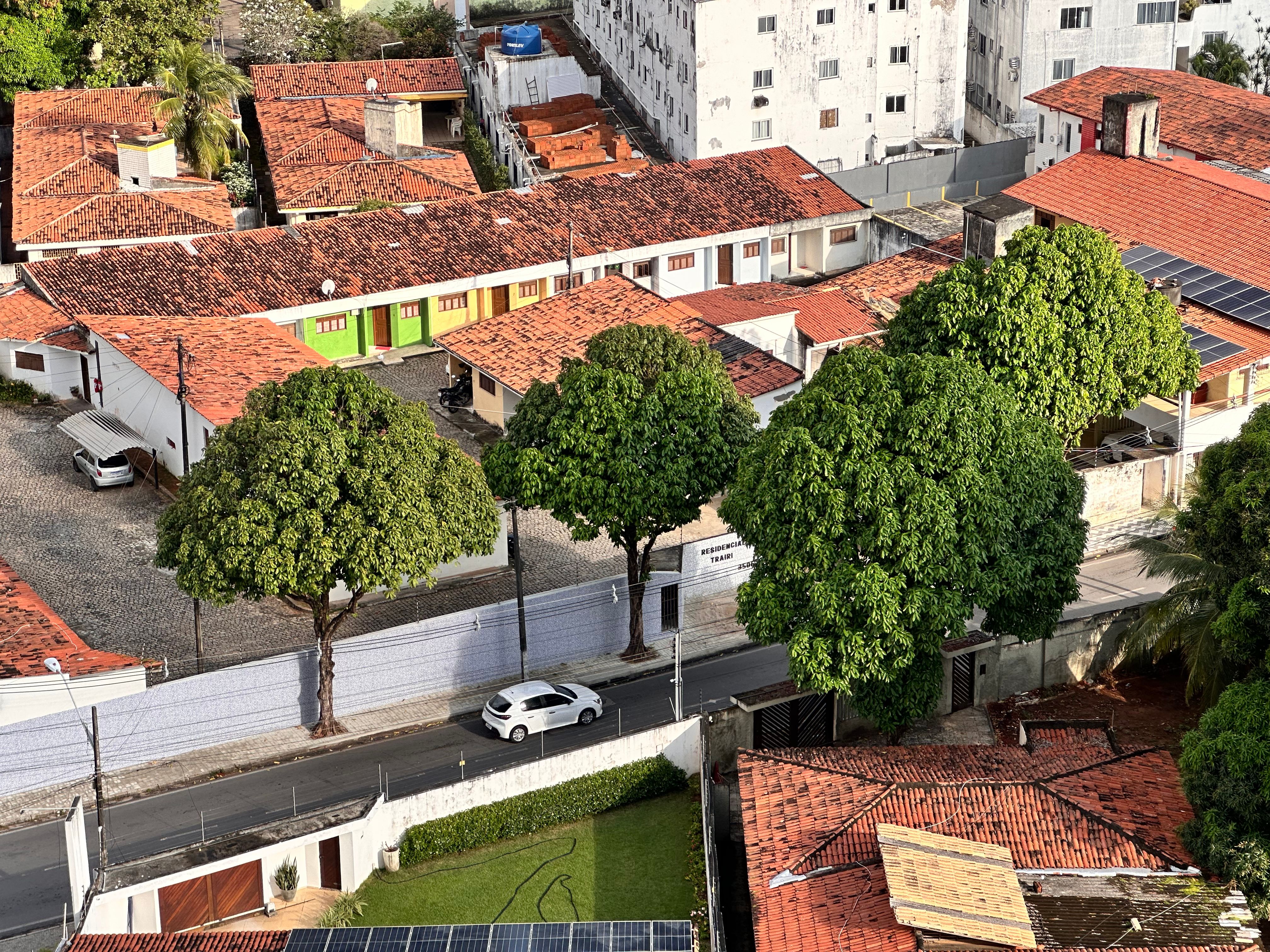 Aerial view of a vibrant urban neighborhood with red-tiled roofs and lush green trees on a sunny day.
