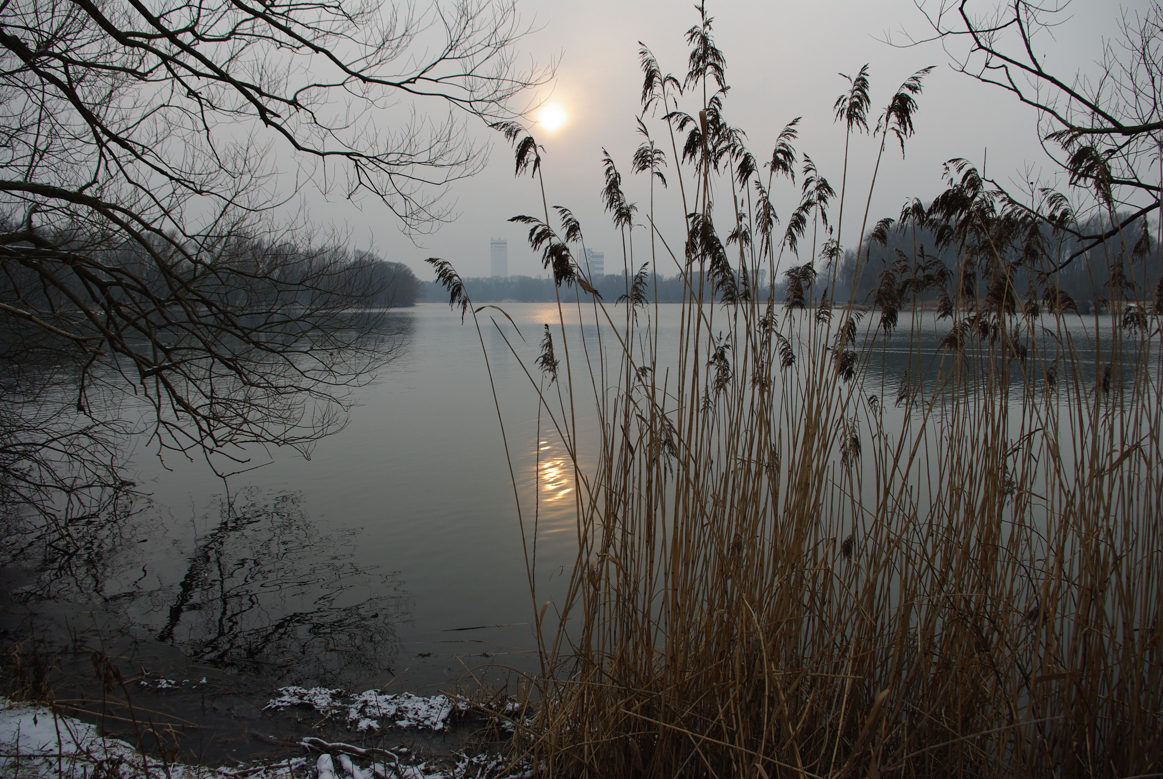 A tranquil winter scene of a lake at sunset with bare trees and reeds in the foreground.