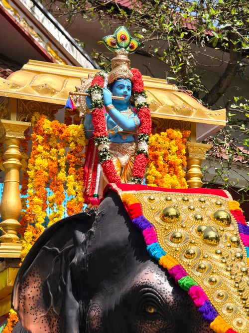 Free Colorful festival parade featuring a deity statue and decorative elephant. Stock Photo