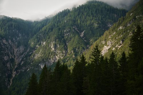 Free Majestic forest and mountain landscape in Toblach, Italy, with lush greenery under cloudy skies. Stock Photo