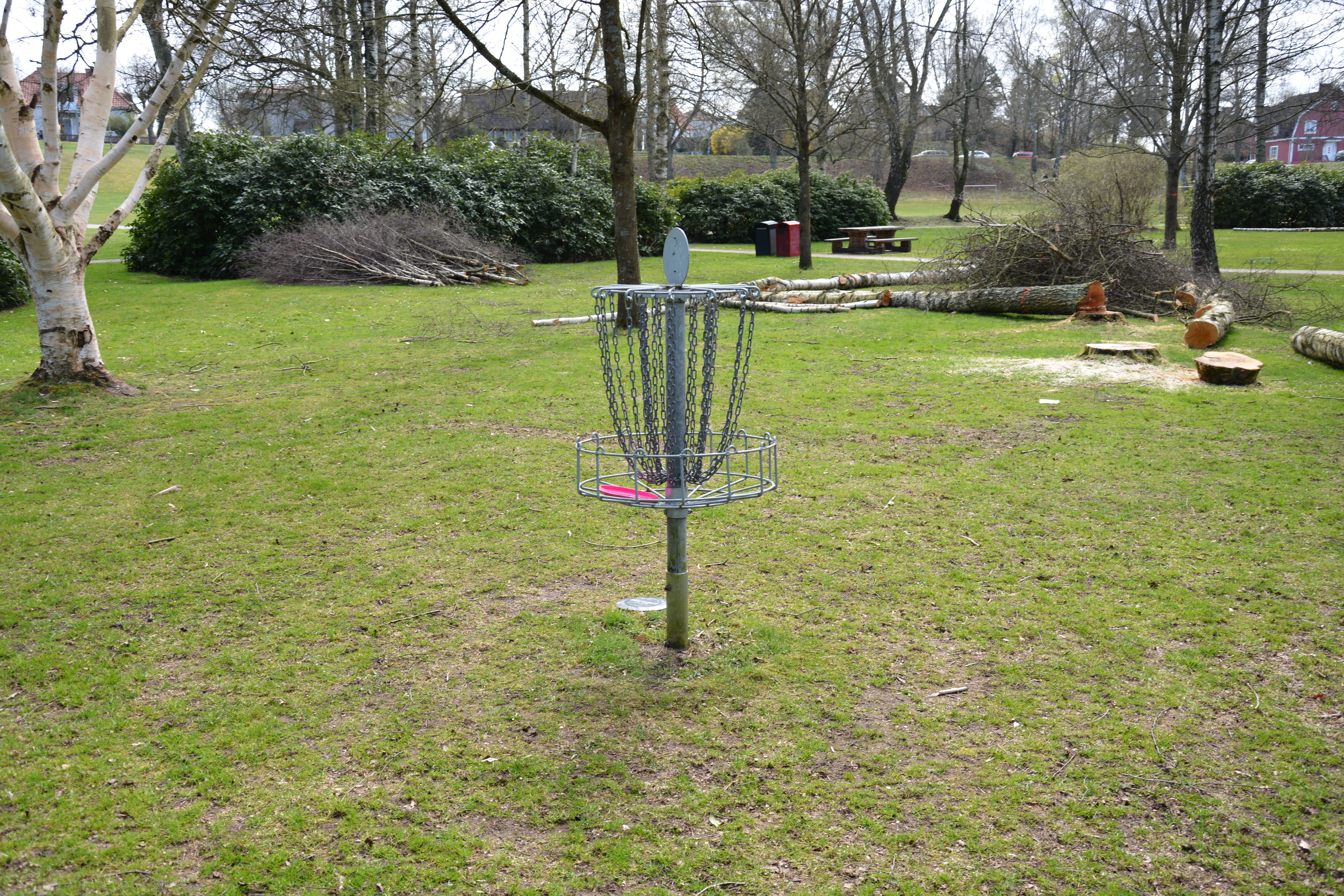 Discgolf parkurundaki sepet ve atış alanı